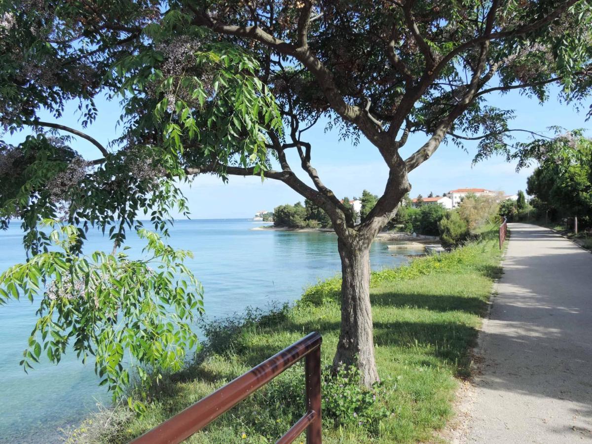 Apartment Mila Zadar Bagian luar foto